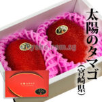 Miyazaki Top Premium Taiyo (Sun Egg) Mango | Miyazaki Prefecture | 4L Size 3L Size