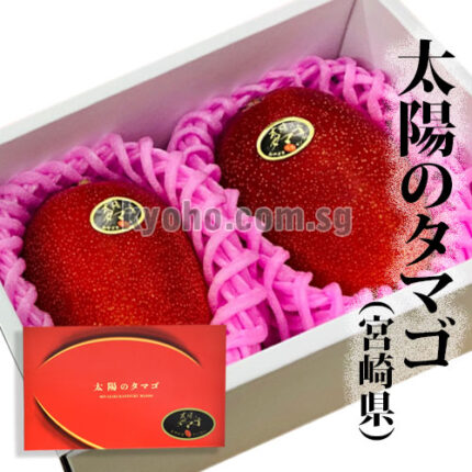 Miyazaki Top Premium Taiyo (Sun Egg) Mango | Miyazaki Prefecture | 4L Size 3L Size