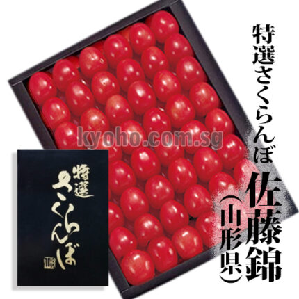 Satou Nishiki Cherry | Yamagata Prefecture | L Size