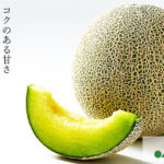Andes Melon | Ibaragi Prefecture