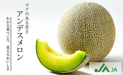 Andes Melon | Ibaragi Prefecture