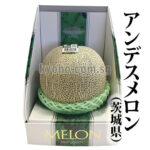 Andes Melon | Ibaragi Prefecture | Gift Box