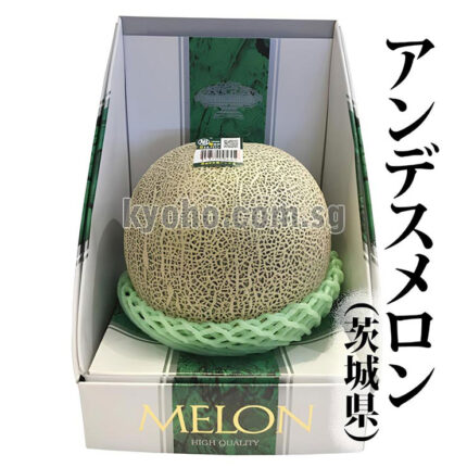 Andes Melon | Ibaragi Prefecture | Gift Box