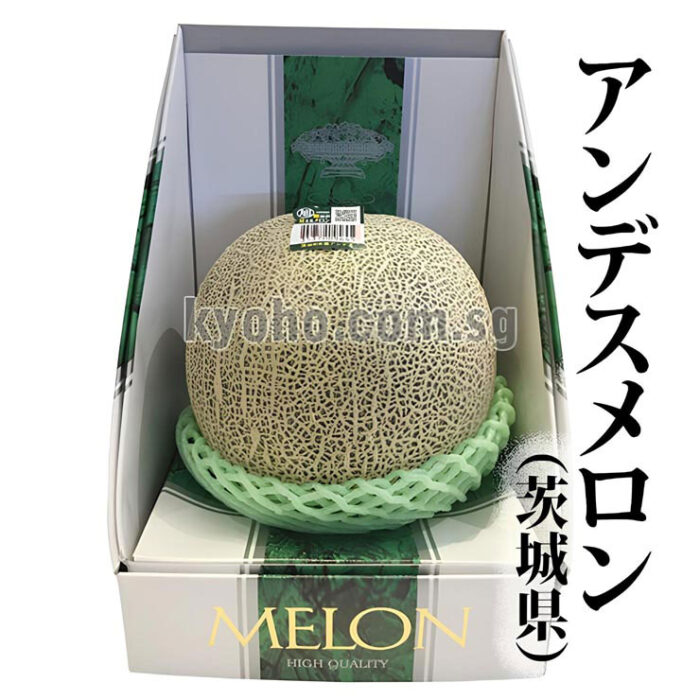 Andes Melon | Ibaragi Prefecture | Gift Box