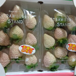 Angel Strawberry | Saga Prefecture