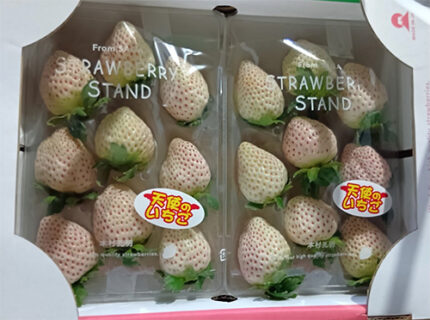 Angel Strawberry | Saga Prefecture