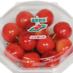 Cherry - Beni Sayaka | Yamagata Prefecture