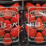 Benihoppei Strawberry | Shizuoka Prefecture | Box