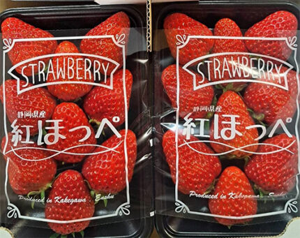 Benihoppei Strawberry | Shizuoka Prefecture | Box