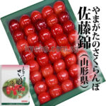Cherry - Satou Nishiki | Yamagata Prefecture | 2L Size