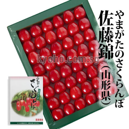 Cherry - Satou Nishiki | Yamagata Prefecture | L Size