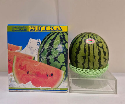 Small Size Watermelon "Hitojime" | Kumamoto Prefecture | 2L Size