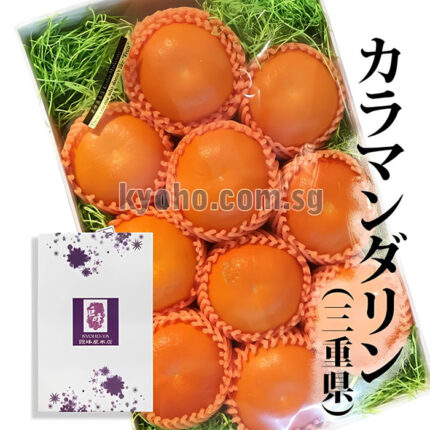 Kara Mandarin Orange (Seedless) | Mie Prefecture