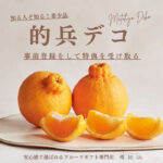 Mathohyo Shiranui Dekopon | Wakayama Prefecture