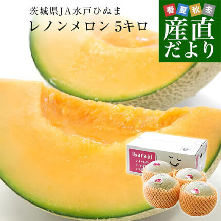 Renon Melon (Red Meat) | Ibaragi Prefecture