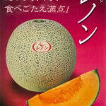 Renon Melon (Red Meat) | Kyoto City