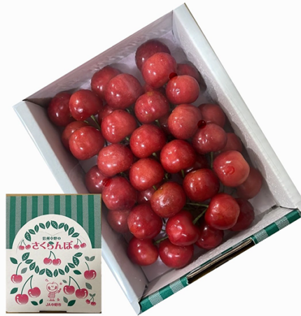 Satou Nishiki Cherry | Yamagata Prefecture | 2L Size