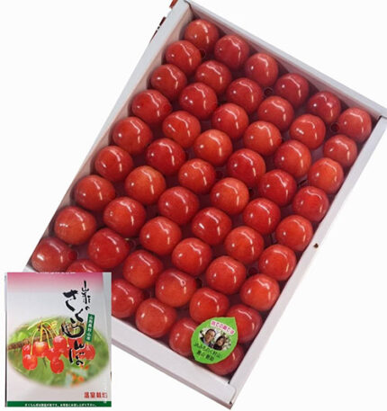 Satou Nishiki Cherry | Yamagata Prefecture | L Size