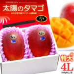 Taiyo (Sun Egg) Mango (Japan Top Premium) | Miyazaki Prefecture | 4L Size