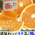 Tamura Kiyomi Orange | Wakayama Prefecture