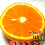 Tamura Kiyomi Orange | Wakayama Prefecture