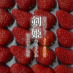 Tsurugihime Strawberry | Tokushima Prefecture
