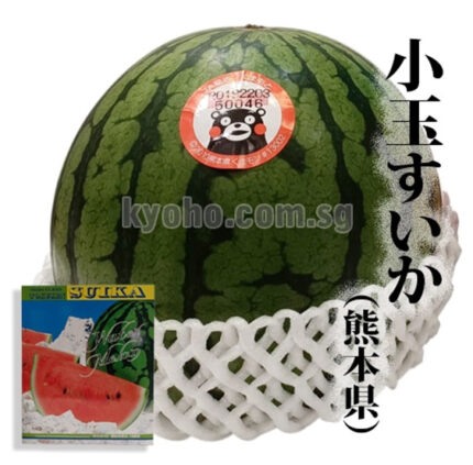Hitorijime Watermelon | Kumamoto Prefecture