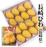 Mogi Biwa (Loquat) | Nagasaki Prefecture | M Size