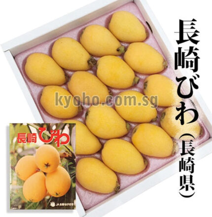 Mogi Biwa (Loquat) | Nagasaki Prefecture | M Size