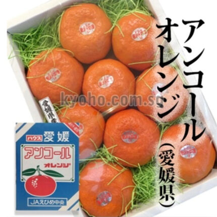 Ancoru Orange w/seed (gift box) / Ehime Prefecture