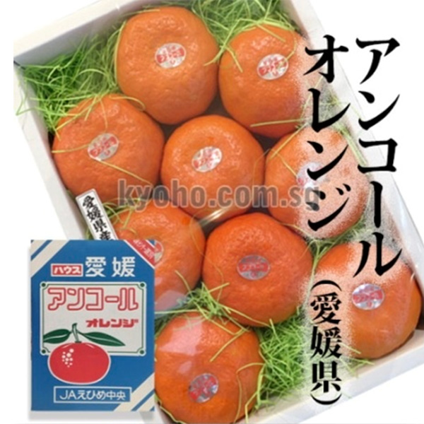 Ancoru Orange w/seed (gift box) / Ehime Prefecture