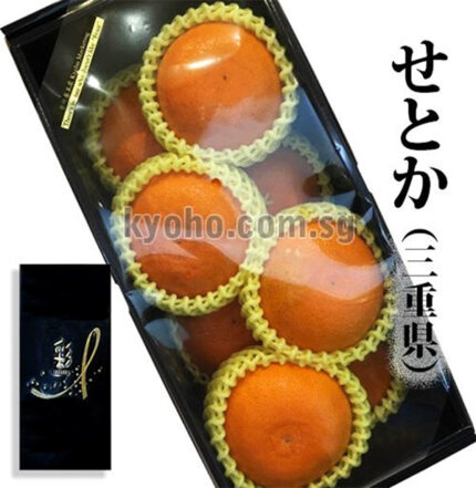 Setoka Orange | Mie Prefecture | 2L Size