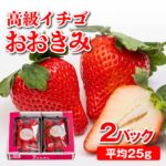 Ookimi Strawberry | Saga Prefecture | Deluxe Pack