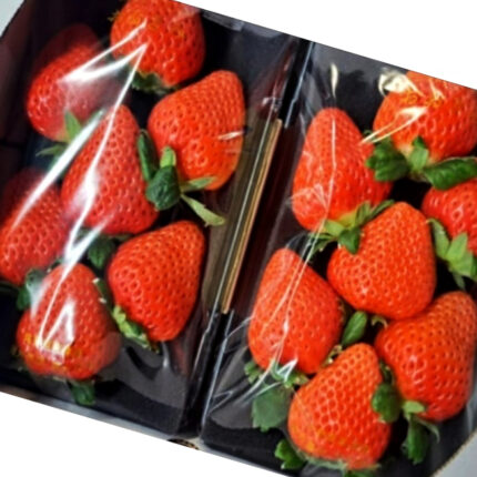 Ookimi Strawberry | Saga Prefecture | Deluxe Pack