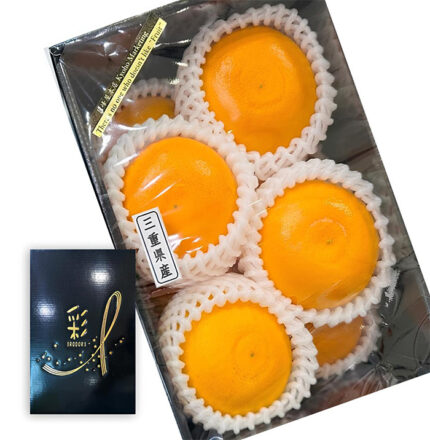 Setoka Orange | Mie Prefecture | L Size