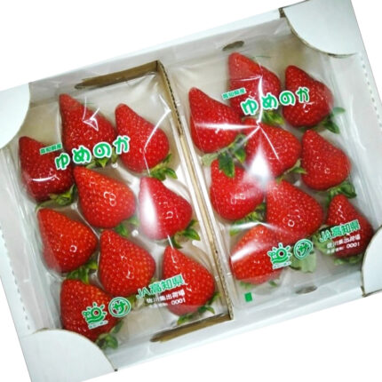 Yumenoka Strawberry | Kouchi Prefecture