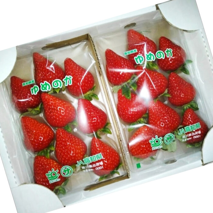 Yumenoka Strawberry | Kouchi Prefecture