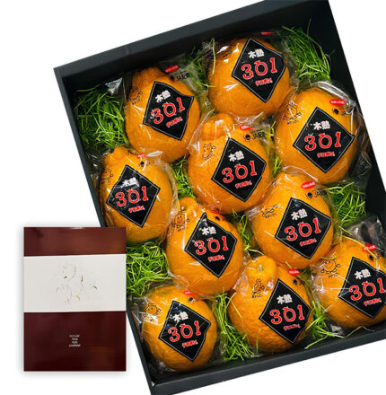 Dekopon Orange | Wakayama Prefecture | L Size