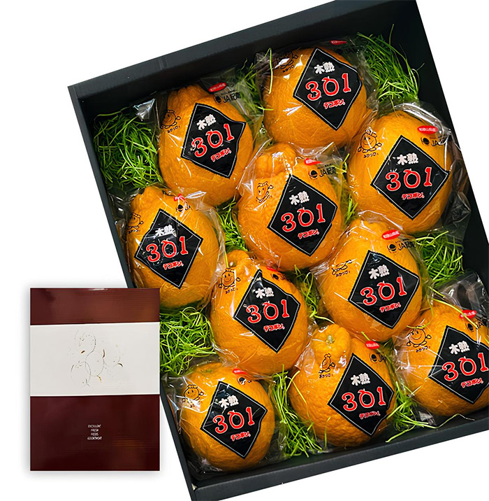 Dekopon Orange | Wakayama Prefecture | L Size