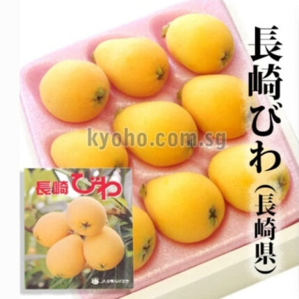 Mogi Biwa (Loquat) | Nagasaki Prefecture | 2L Size