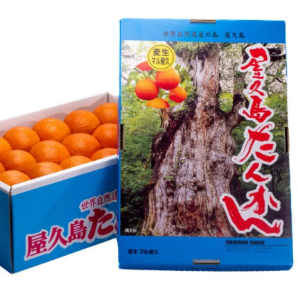 Yakushima Tankan | Kagoshima Prefecture