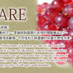 Delaware Grapes | Yamanashi Prefecture