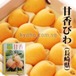 Amaka Biwa (Loquat) - Top Premium Grade | Nagasaki Prefecture