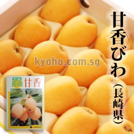 Amaka Biwa (Loquat) - Top Premium Grade | Nagasaki Prefecture