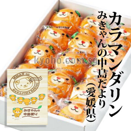 Kara Mandarin Orange | Ehime Prefecture