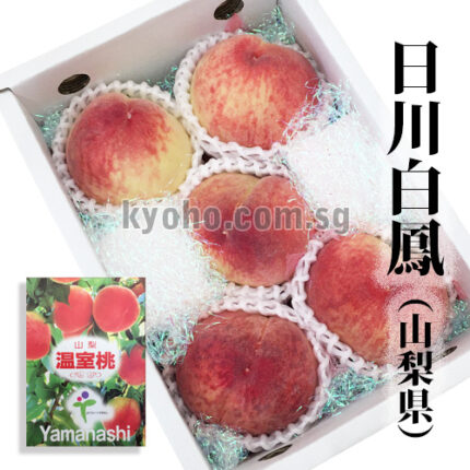 House Grown Peach Hikawa Hakuhou variety | Yamanashi Prefecture | 5 Pcs