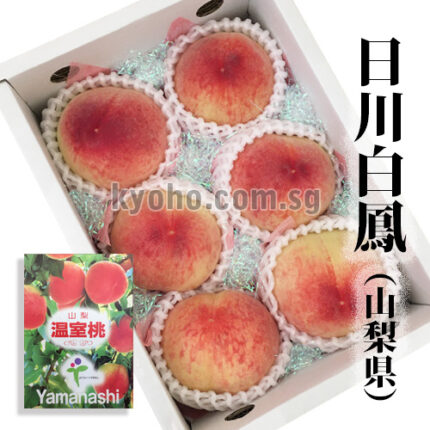 House Grown Peach Hikawa Hakuhou variety | Yamanashi Prefecture | 6 Pcs