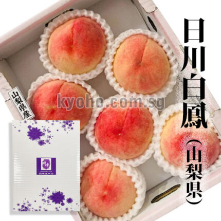 House Grown Peach Hikawa Hakuhou variety | Yamanashi Prefecture | 3L Size