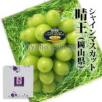 Shine Muscat Grapes | Yamanashi Prefecture | Box