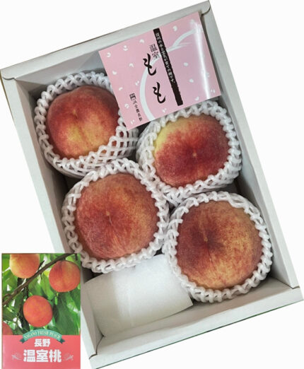 Hikawa Hakuhou Peach | Nagano Prefecture | 4 Pcs